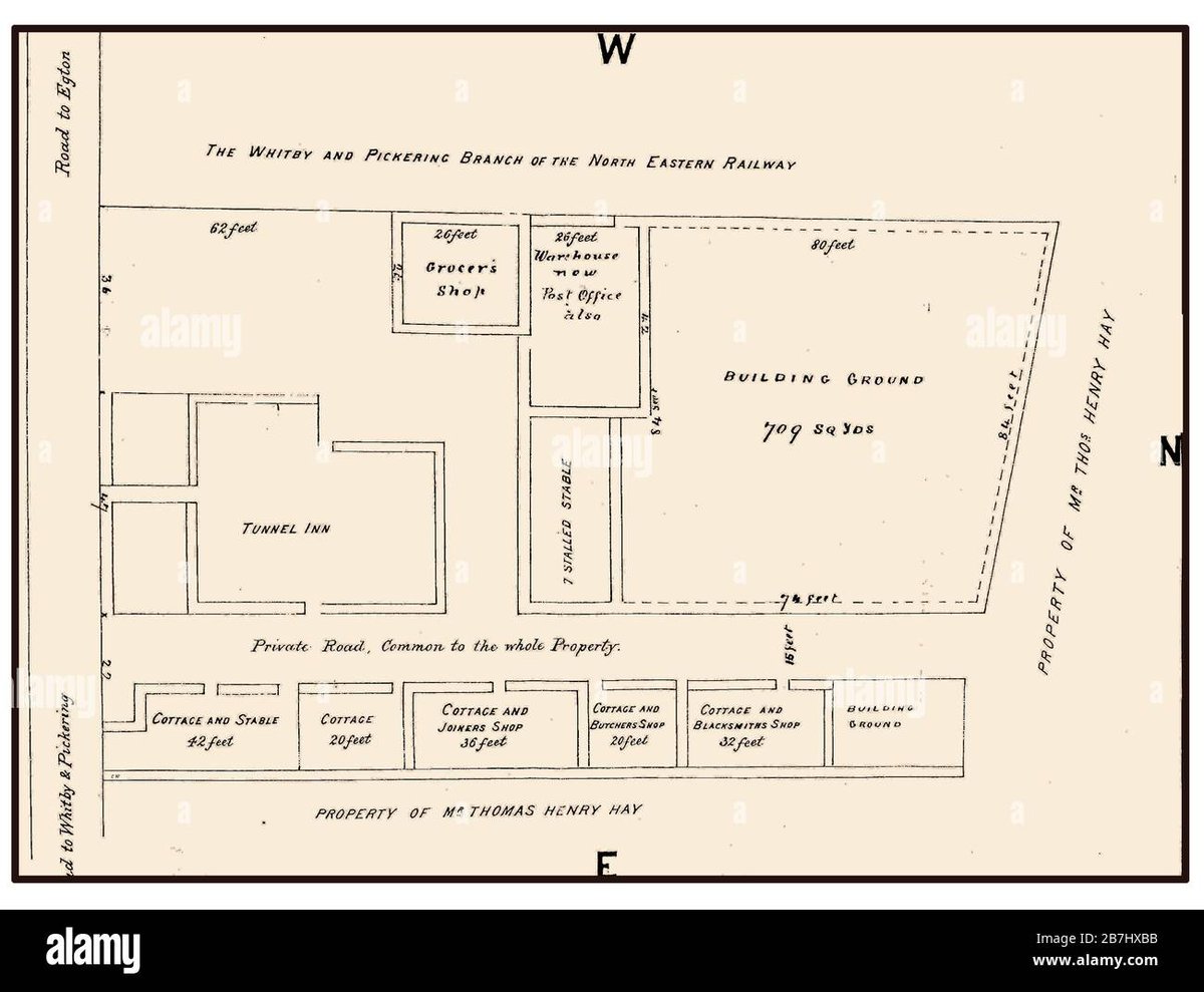 How Old Is Yor Forger In Mashle Anime Series
